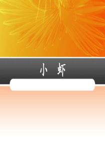 人教版三年级语文下册《小虾》教学课件