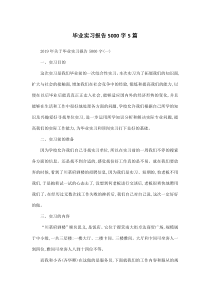 毕业实习报告5000字5篇