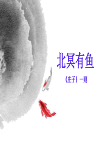 北冥有鱼-公开课