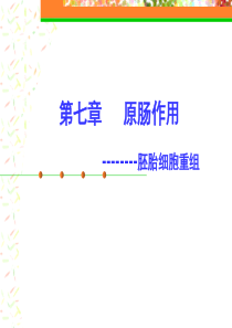 原肠作用