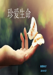 珍爱生命课件PPT