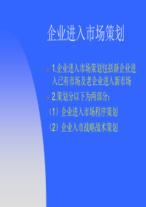 企业进入市场策划
