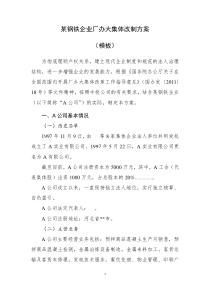 某钢铁企业厂办大集体改制方案