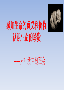 主题班会《生命的意义》
