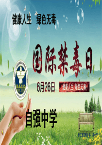 2017青少年禁毒宣传教育——健康人生-绿色无毒