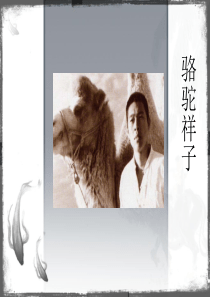 《高妈》课件