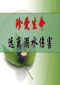 防溺水主题班会PPT课件