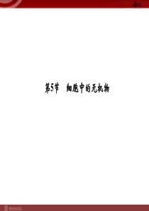 人教版高中生物必修一细胞中的无机物