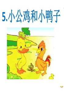 一下《小公鸡和小鸭子》ppt课件5完美版