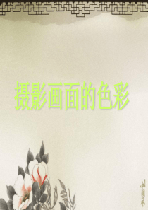 摄影画面的色彩