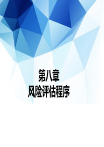 第8章-风险评估程序
