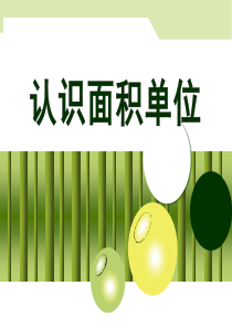 认识面积单位
