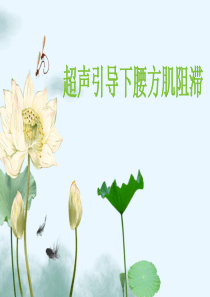 超声引导下腰方肌阻滞-