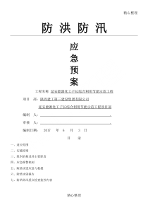防汛防洪应急预案