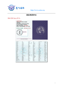 国际驾照样本