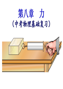第八章力(中考物理基础复习)案例