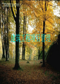 建筑工程项目管理课件