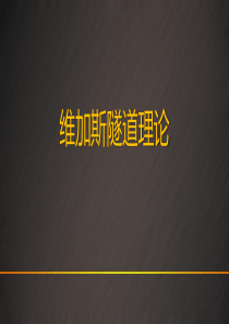 维加斯隧道理论