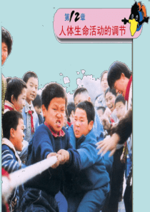 人体的激素调节ppt课件