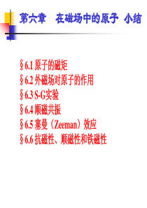 第六章在磁场中的原子小结