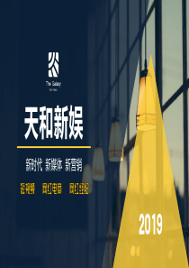 天和新娱达人推广简介(b