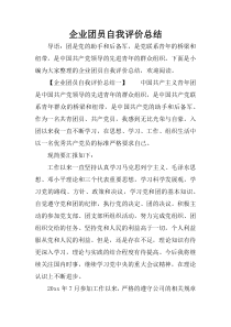 企业团员自我评价总结