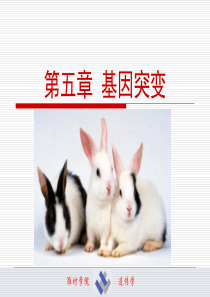 遗传学-第五章基因突变
