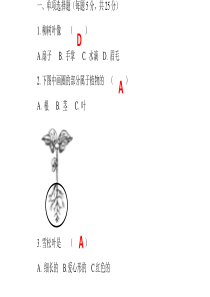 教科版一年级科学上册第一单元测试题