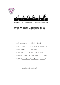 微核试验报告