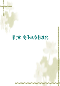 第5章电子政务标准化