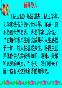名著导读：《昆虫记》ppt课件27全面版