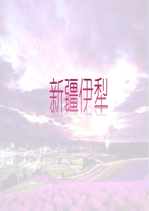 新疆伊犁旅游指南