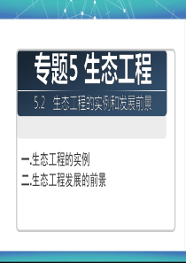 生态工程的实例和发展前景上课