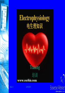 D1-心脏生理解剖结构和传导路径
