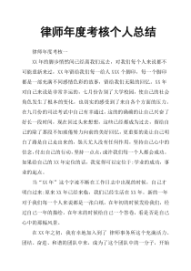 律师年度考核个人总结