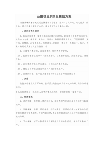 公田镇民兵动员集结方案