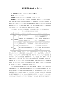 常见重要储粮害虫41种(二)