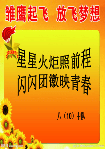 少先队活动课PPT