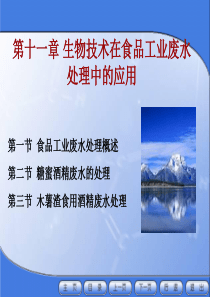 食品生物技术概论-廖威-第十一章-生物技术在食品工业废水处理中的应用