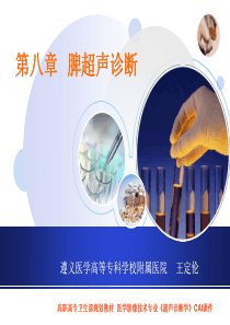 脾脏超声诊断