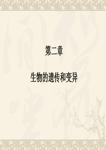 专题复习-生物的遗传和变异