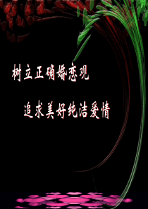 树立正确婚恋观-追求美好纯洁爱情