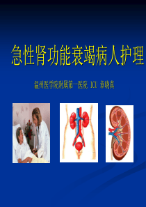 急性肾功能衰竭病人的护理