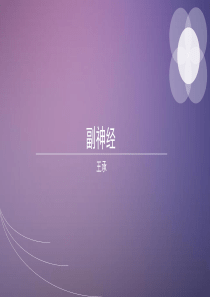 副神经