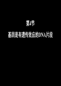 高一生物必修二《基因是有遗传效应的DNA片段》PPT课件