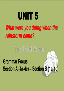 新目标八下Unit5-What-were-you-doing-when-the-rainstorm-