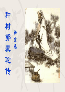 种树郭橐驼传精品课件