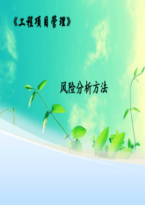 工程项目管理-风险分析方法