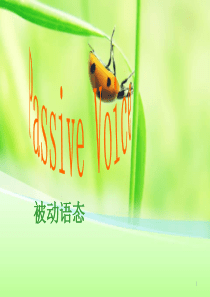 高中英语语法-被动语态详解课件-(共38张PPT)-高中课件精选