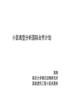 小鼠表型分析国际合作计划